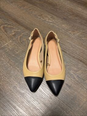 Leather Two-Tone Pointed Toe Slingback Flats - Black & Tan